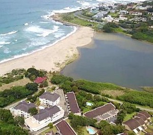 The Shores 