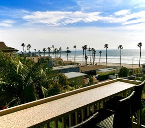 Paradise 