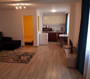 Apartament Central 