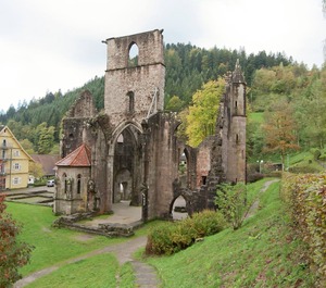 Oppenau Forest National Park 
