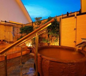 Arima Spring Ryokan Hanamusubi 