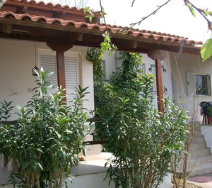 Calm Located Olive Grove The Beach Holiday 