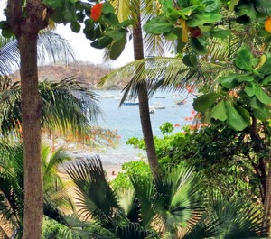 Ocotal Beach 