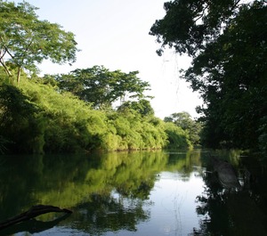 Cohune Palms River Cabanas 