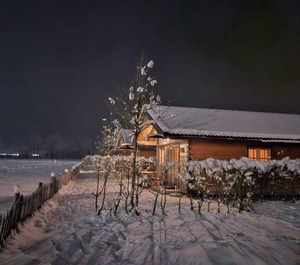 Alpine Chalet Mountain 