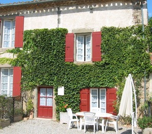 Wine Domaine 