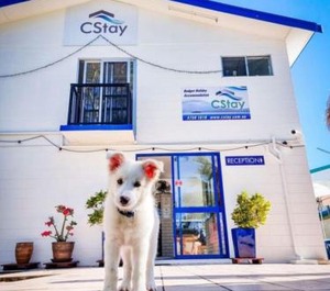 Cstay 