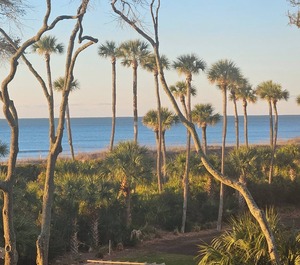 Hampton Place Hilton Head Island 