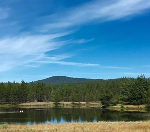 Wildflower Sunriver 