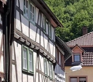 Weinheim 