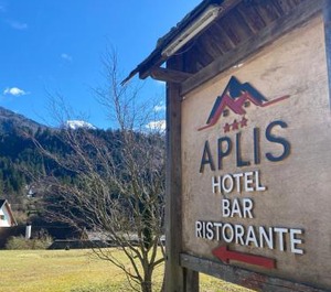 Hotel Aplis 