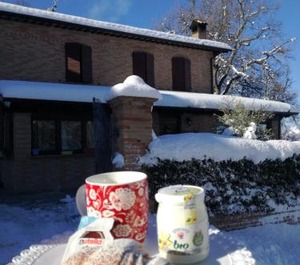 Il Castagneto 