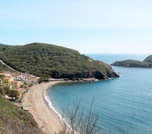 Panorama 