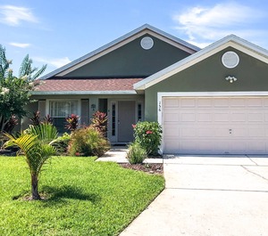 Florida Pines 