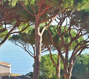 Pierre Et Vacances 