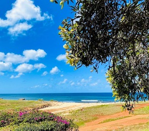 Paniolo Hale Maunaloa 