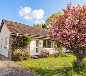 Steam Cottage 