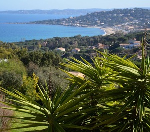 Les Coteaux De Nartelle 