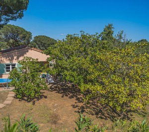 Villa Capo Perla Capoliveri 