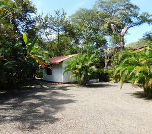 Villas Jungle 