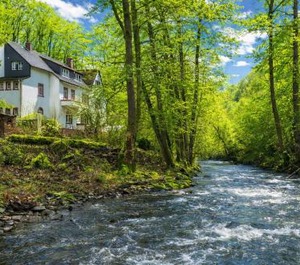 Wald Villa Üssbach 