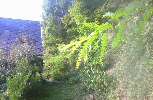 Cormeilles House | À flanc de colline