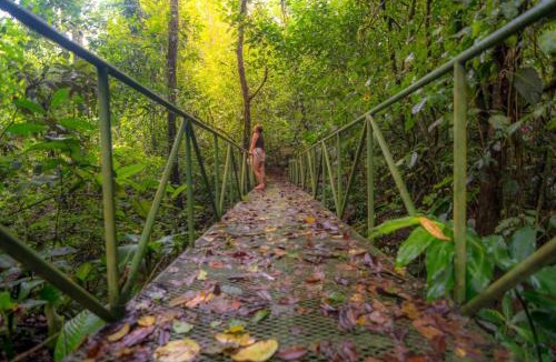 Quesada Hotel | Ávita Lodge
