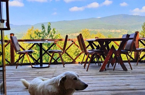 Mengen Ski Chalet | ÇAMPINARI DOĞA EVLERİ & RESTAURANT