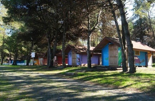 Unye Ski Chalet | ÇINARSUYU TABİAT PARKI BUNGALOV