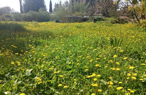 Lunel House | Écoutez les oiseaux Arrivée en toute liberté