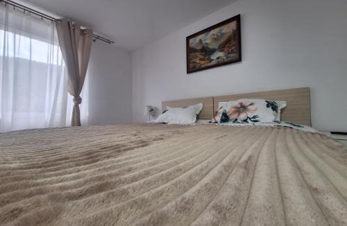 Toplita House | Șura Moșului