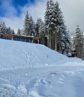 Colibita Cabin | Ținutul Lupilor