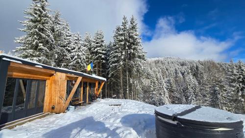Colibita Cabin | Ținutul Lupilor