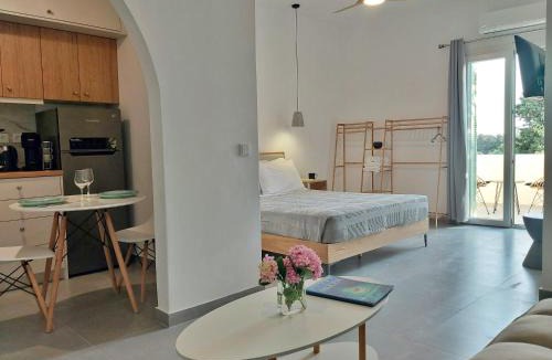 Andros Town Apartment | Λ Studios