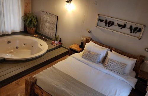 Ramot Cabin | ברוגע אצל נוגה סוויטה עם בריכה פרטית