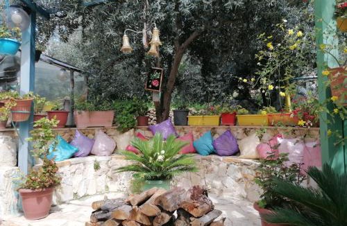 Jerash Apartment | بيت الطبيعة nature house