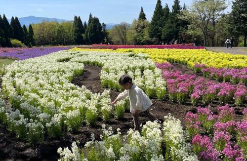 Taketa Other | くじゅう花公園 グランピングパーク花と星