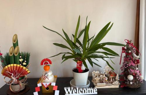 Sosa House | 旭日山荘