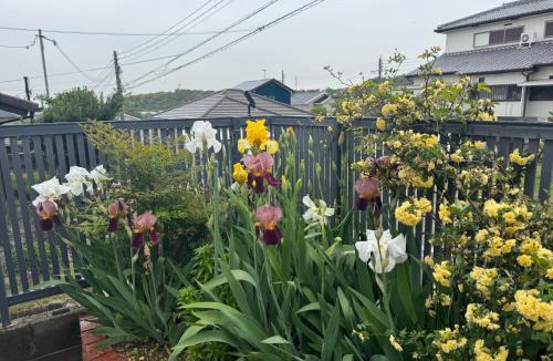 Hannan House | 望海荘