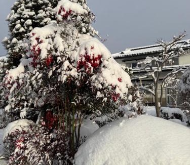 Omachi Apartment | 桜Sakura