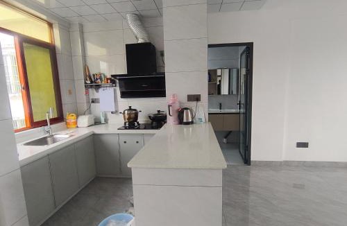 Baoting Li and Miao Autonomous County Apartment | 椰风山景居