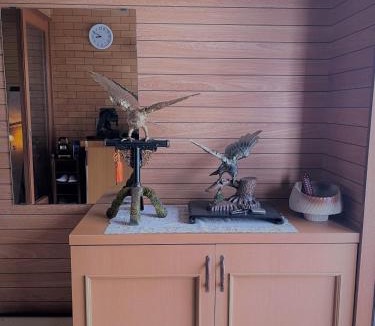 Ebetsu House | 華明の宿