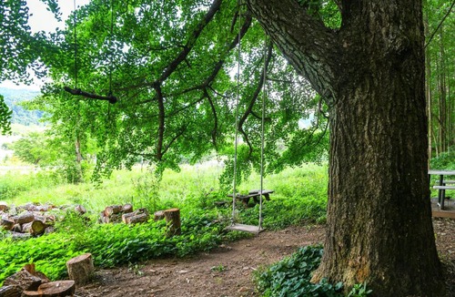 Seorak House | 가평 야옹이네 Near Seoul Healing Stay Cats, BBQ, Korean Firepit Nights