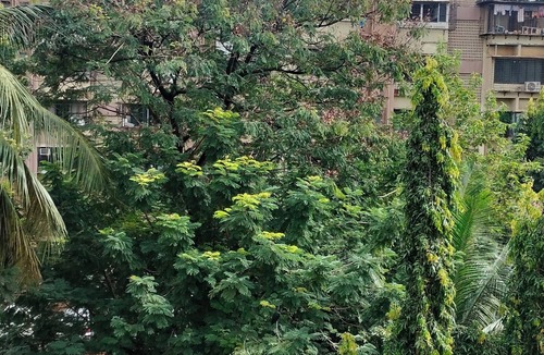 Versova Apartment | 1 badroom,2 Guest Spacious Sweet Home – Perfect for Families & Vacation Retreats