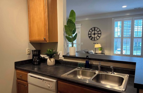 Raleigh Apartment | 1 Bdrm|Pet Friendly|North Hills|Long Stays