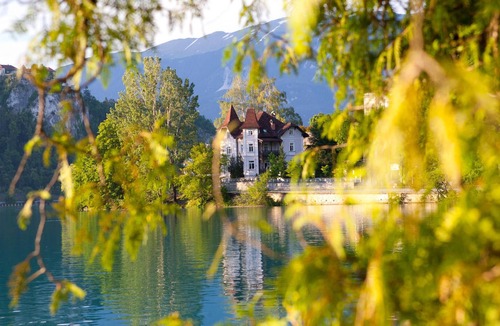 Zasip Apartment | 1 bedroom accommodation in Bled