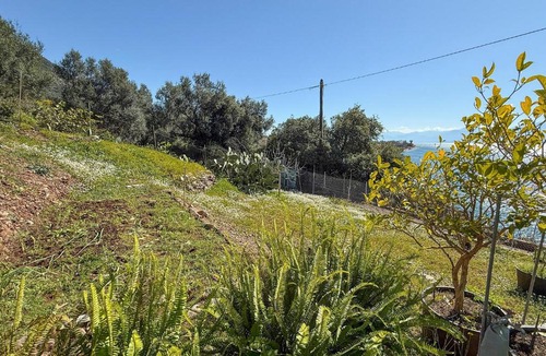 Skaloma Apartment | 1 Bedroom Amazing Apartment In Nafpaktos