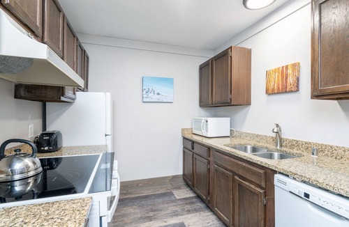 Telluride Condo | 1-Bedroom Pet-Friendly Unit at the Mountainside Inn
