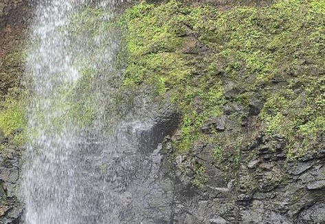 Igatpuri Apartment | 1 BHK in Igatpuri -The Fog City - Joy Amidst Nature