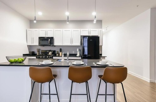 Cultural District Apartment | 1 BR Downtown Pittsburgh with Best Roof Top View